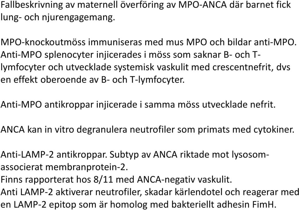 Anti-MPO antikroppar injicerade i samma möss utvecklade nefrit. ANCA kan in vitro degranulera neutrofiler som primats med cytokiner. Anti-LAMP-2 antikroppar.