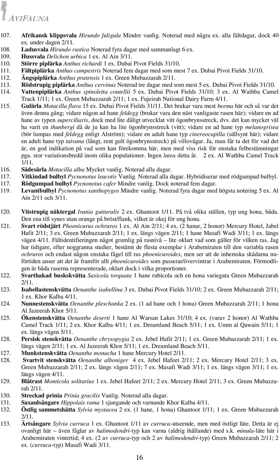 Dubai Pivot Fields 31/10. 112. Ängspiplärka Anthus pratensis 1 ex. Green Mubazzarah 2/11. 113. Rödstrupig piplärka Anthus cervinus Noterad tre dagar med som mest 5 ex. Dubai Pivot Fields 31/10. 114.