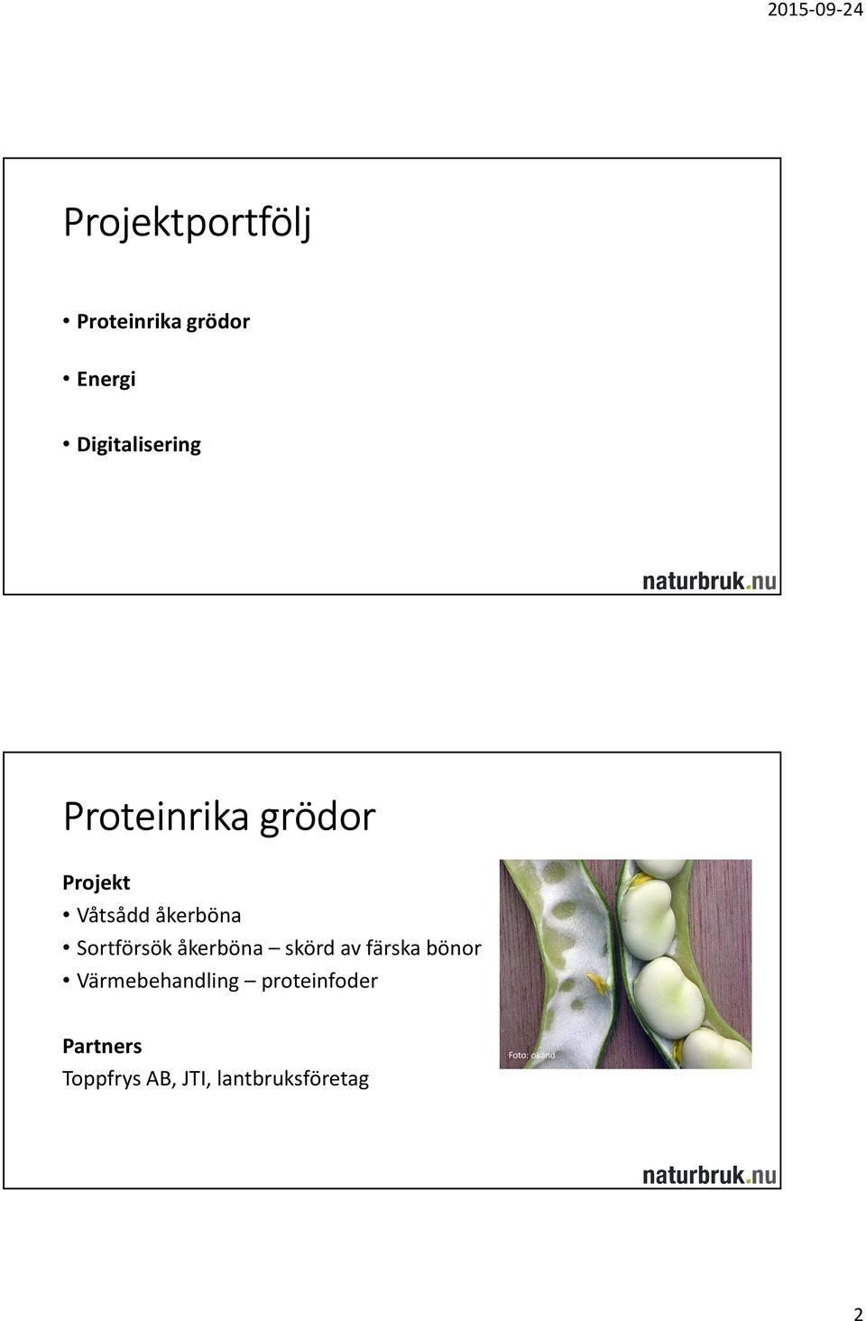 åkerböna skörd av färska bönor Värmebehandling