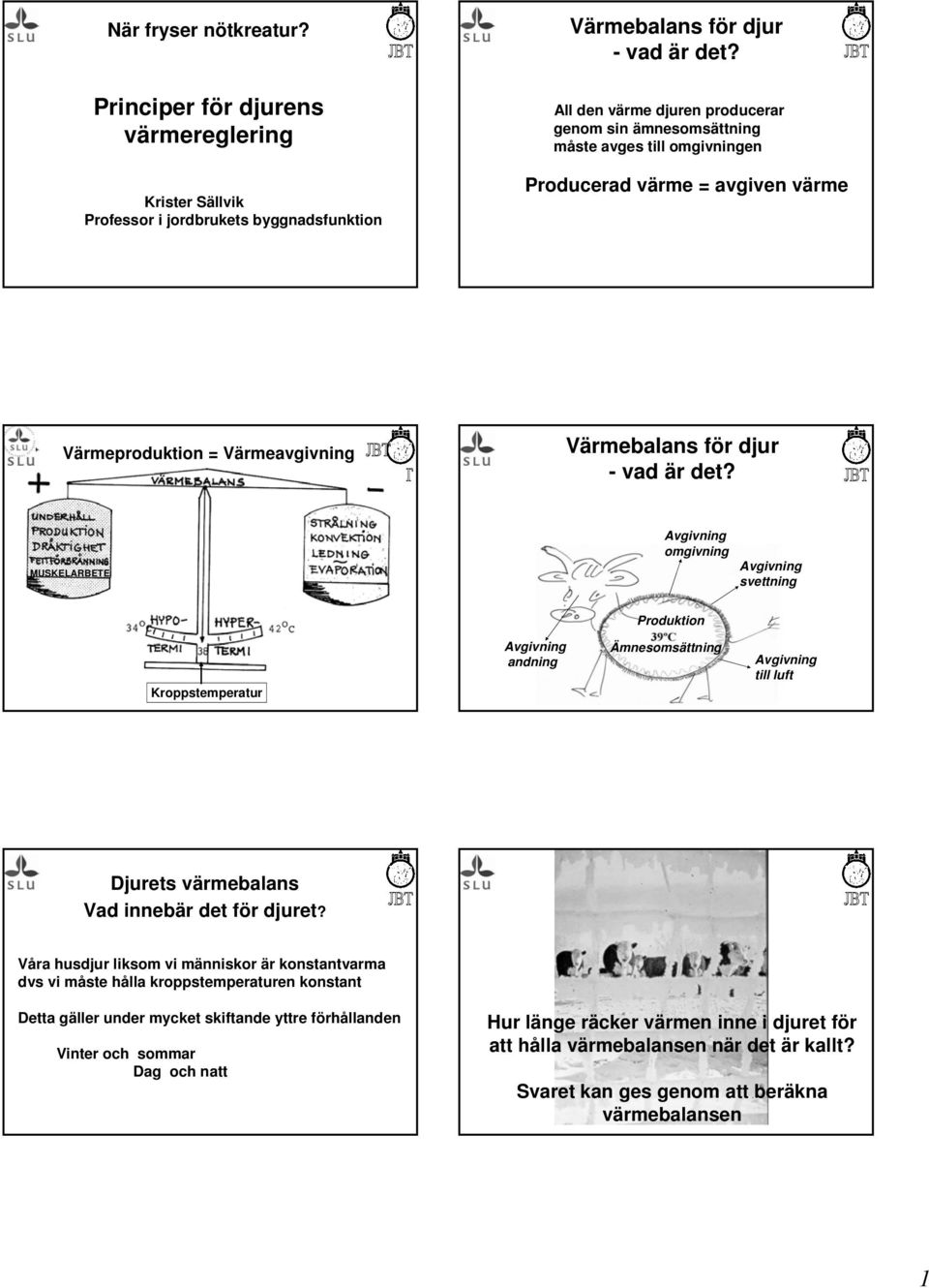 MUSKELARBETE omgivning svettning Produktion Kroppstemperatur andning Ämnesomsättning till luft Djurets värmebalans Vad innebär det för djuret?