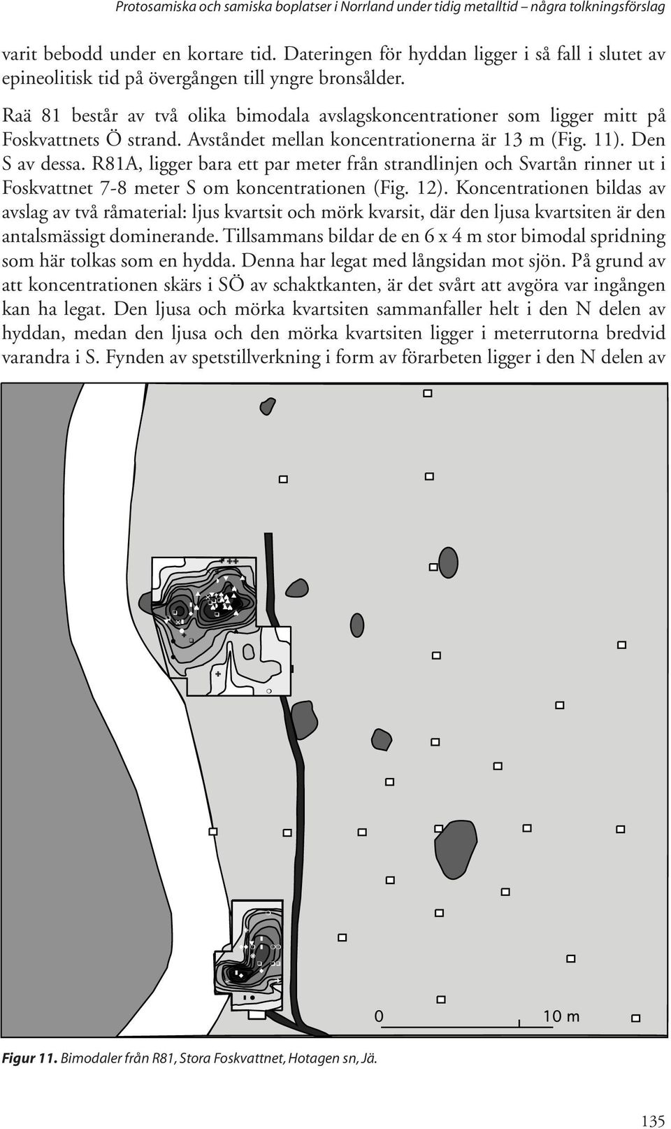 Raä 81 består av två olika bimodala avslagskoncentrationer som ligger mitt på Foskvattnets Ö strand. Avståndet mellan koncentrationerna är 13 m (Fig. 11). Den S av dessa.