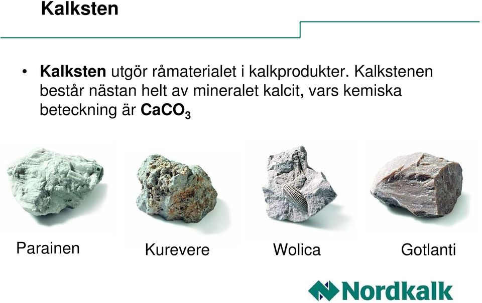 Kalkstenen består nästan helt av mineralet