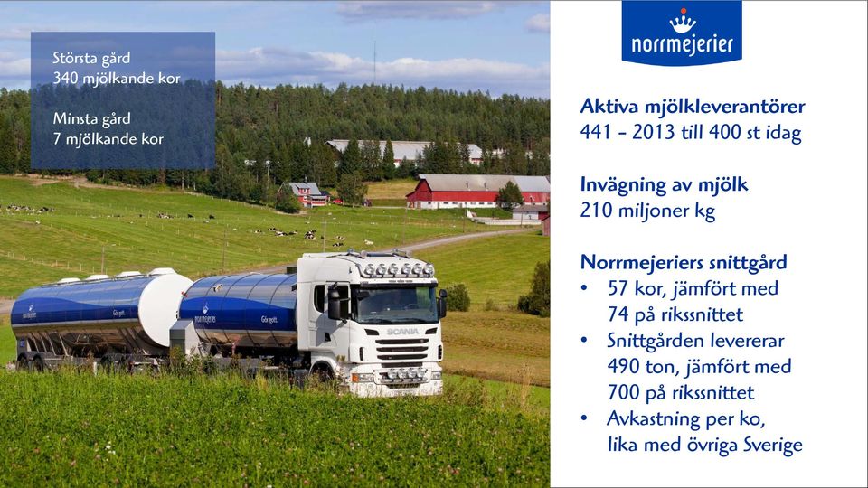 kg Norrmejeriers snittgård 57 kor, jämfört med 74 på rikssnittet Snittgården