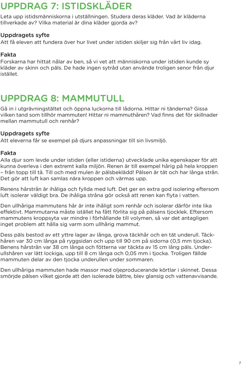 De hade ingen sytråd utan använde troligen senor från djur istället. UPPDRAG 8: MAMMUTULL Gå in i utgrävningstältet och öppna luckorna till lådorna. Hittar ni tänderna?