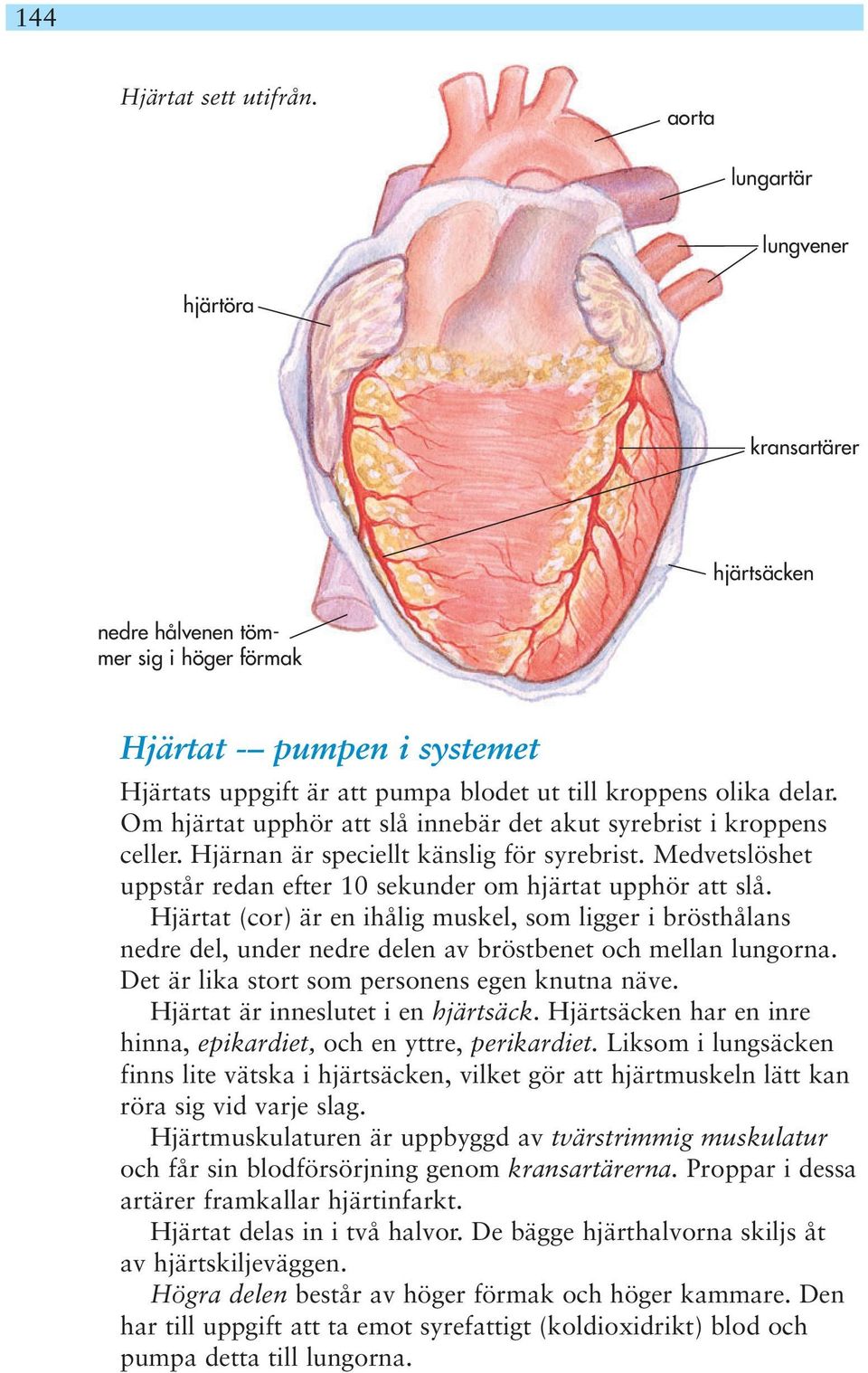 Om hjärtat upphör att slå innebär det akut syrebrist i kroppens celler. Hjärnan är speciellt känslig för syrebrist. Medvetslöshet uppstår redan efter 10 sekunder om hjärtat upphör att slå.