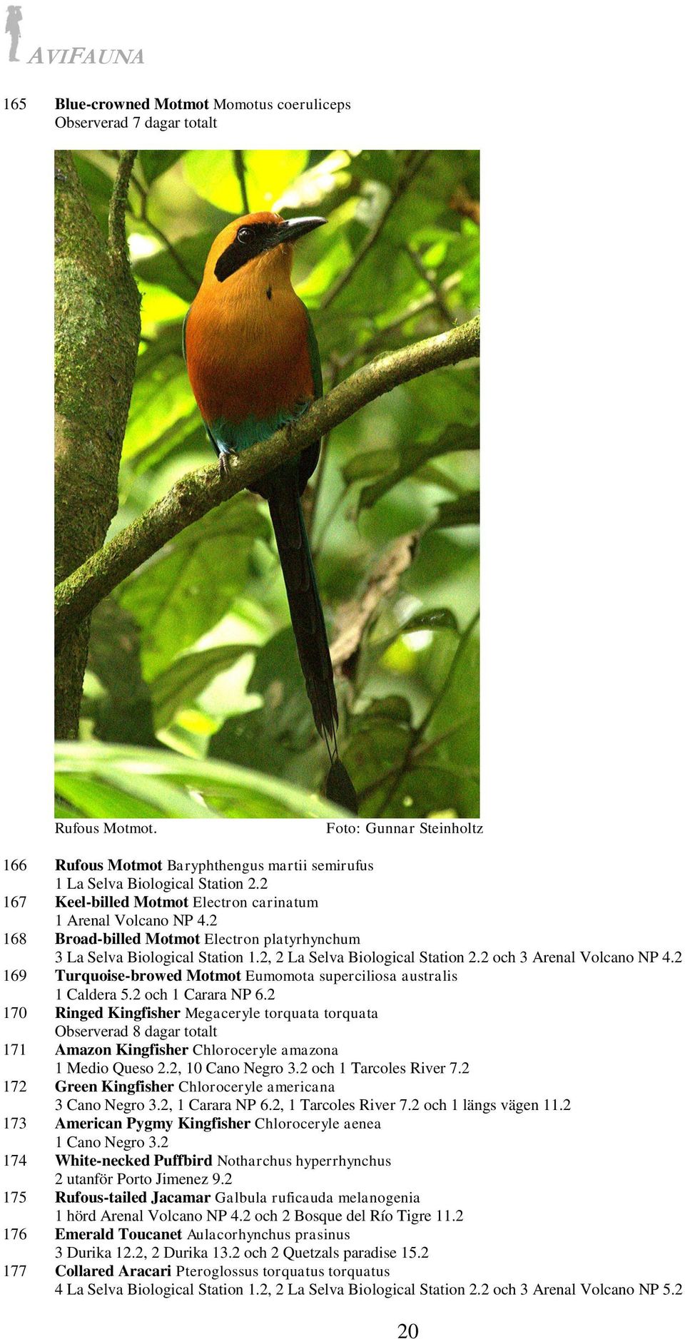 2 och 3 Arenal Volcano NP 4.2 169 Turquoise-browed Motmot Eumomota superciliosa australis 1 Caldera 5.2 och 1 Carara NP 6.