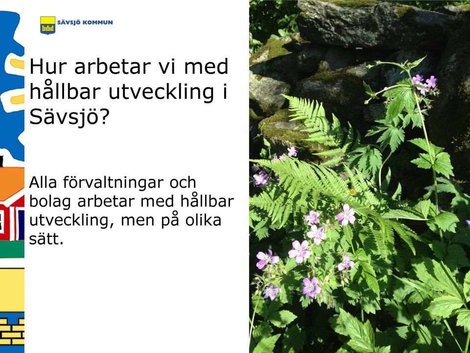 Alla förvaltningar och bolag