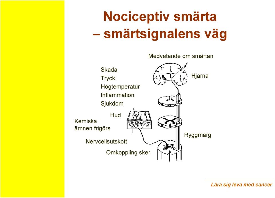 Högtemperatur Inflammation Sjukdom Hud