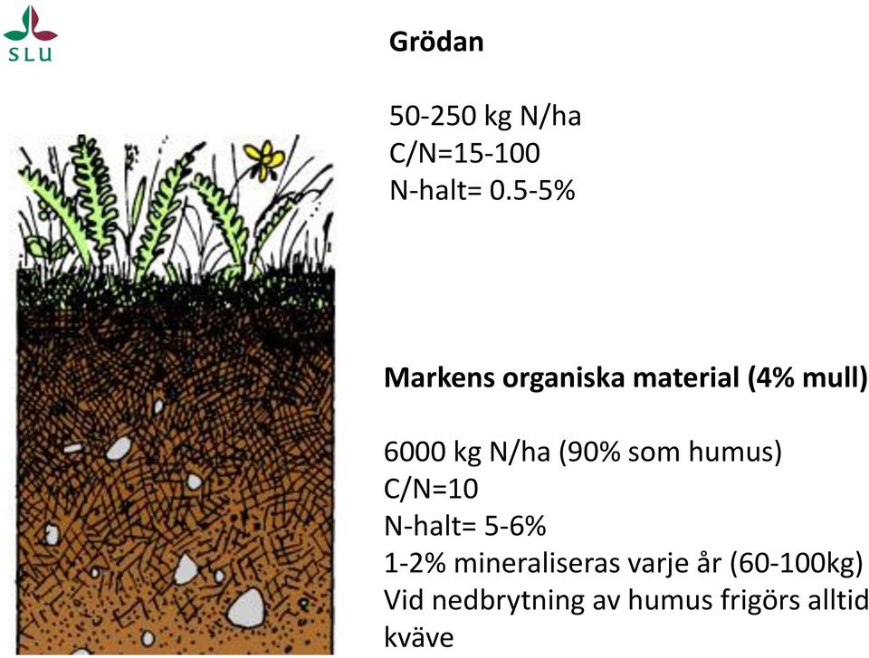 (90% som humus) C/N=10 N-halt= 5-6% 1-2% mineraliseras