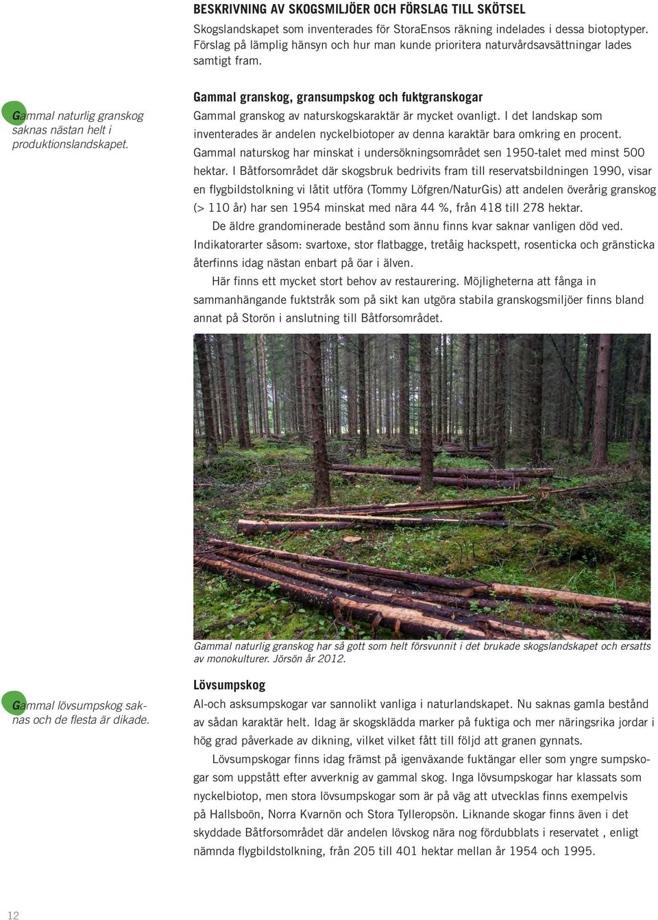 Gammal granskog, gransumpskog och fuktgranskogar Gammal granskog av naturskogskaraktär är mycket ovanligt.