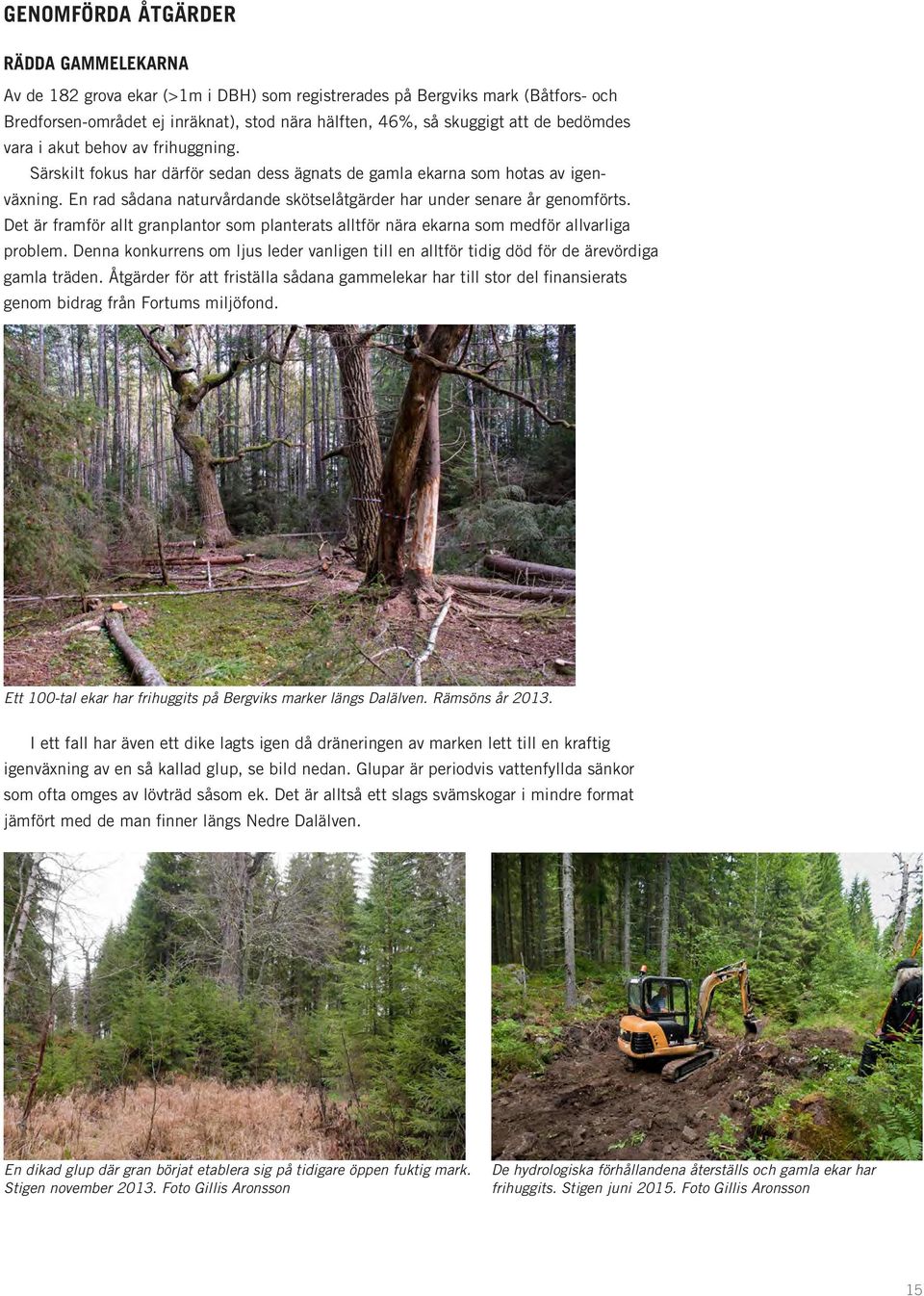 En rad sådana naturvårdande skötselåtgärder har under senare år genomförts. Det är framför allt granplantor som planterats alltför nära ekarna som medför allvarliga problem.