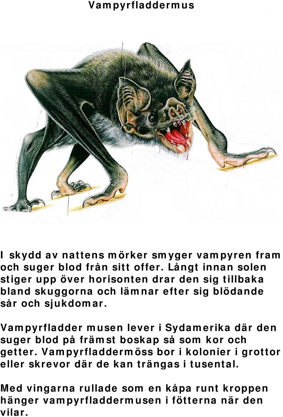 sjukdomar. Vampyrfladder musen lever i Sydamerika där den suger blod på främst boskap så som kor och getter.