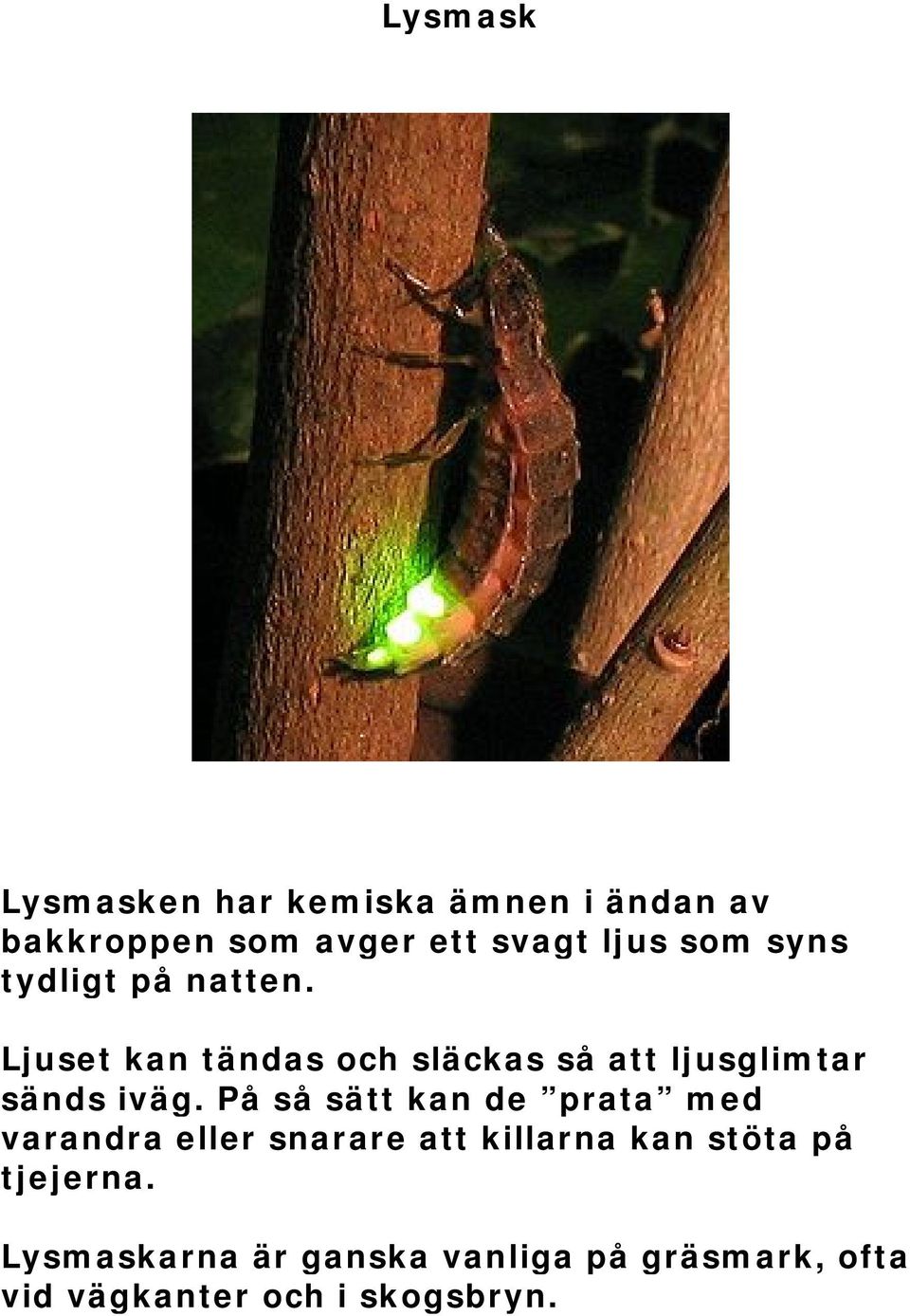 Ljuset kan tändas och släckas så att ljusglimtar sänds iväg.