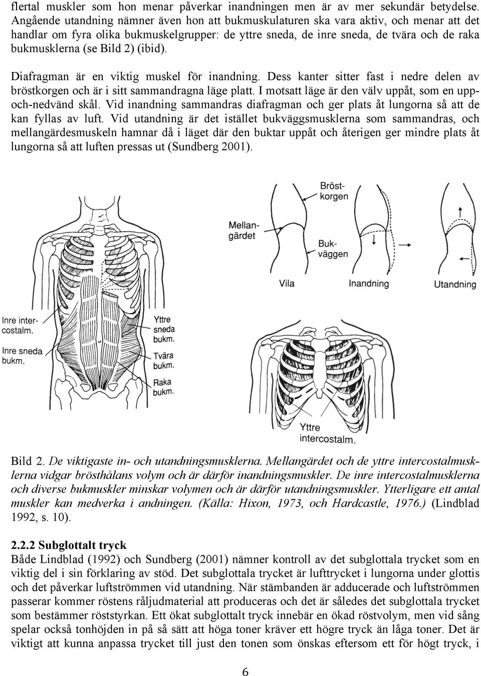 Bild 2) (ibid). Diafragman är en viktig muskel för inandning. Dess kanter sitter fast i nedre delen av bröstkorgen och är i sitt sammandragna läge platt.