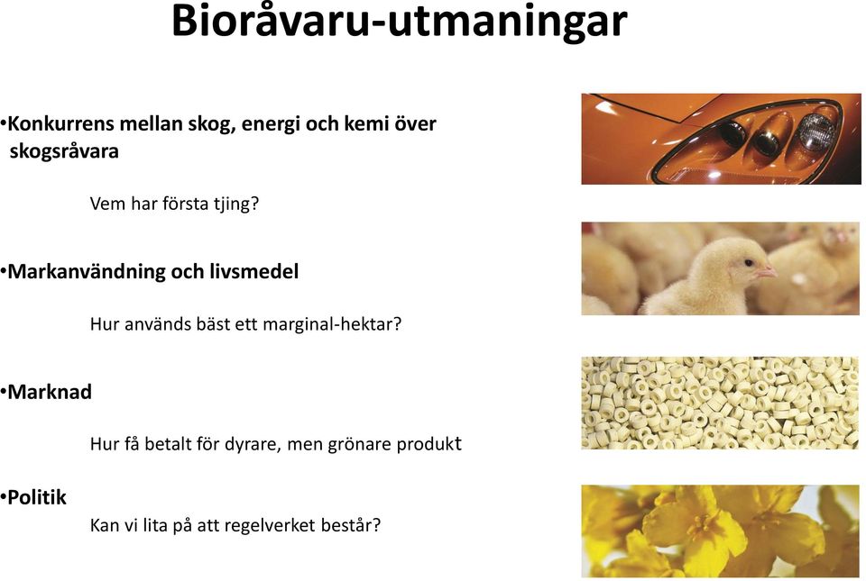 Markanvändning och livsmedel Hur används bäst ett marginal-hektar?