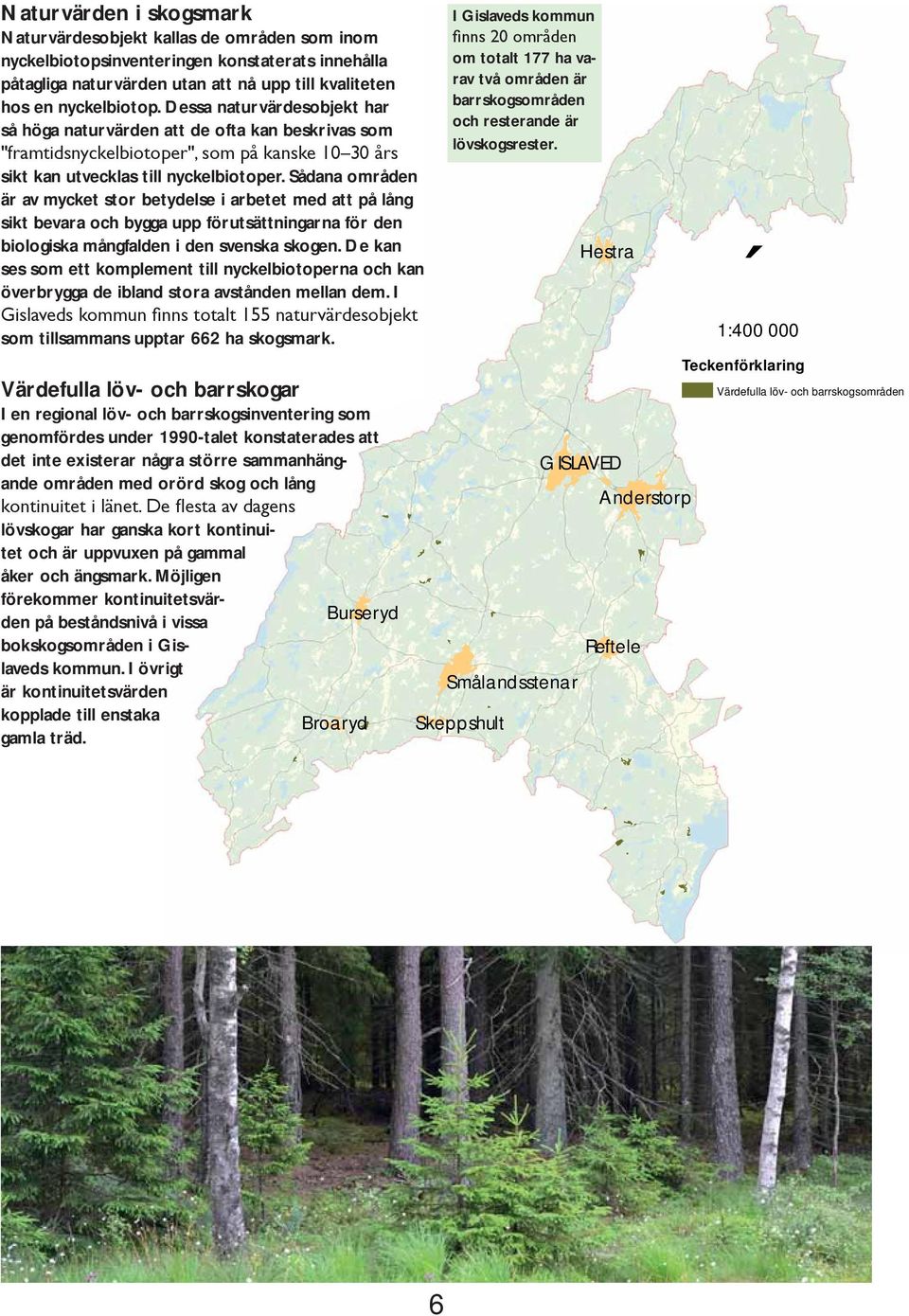 Sådana områden är av mycket stor betydelse i arbetet med att på lång sikt bevara och bygga upp förutsättningarna för den biologiska mångfalden i den svenska skogen.