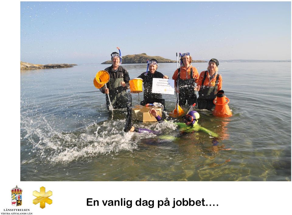 jobbet.