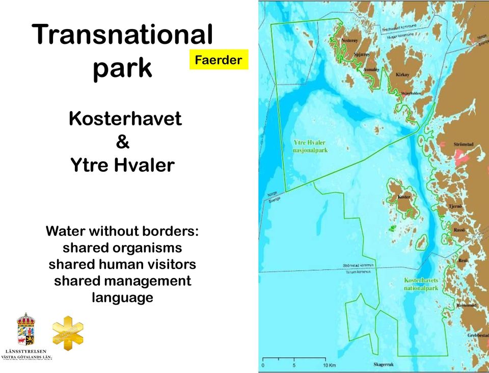 borders: shared organisms shared