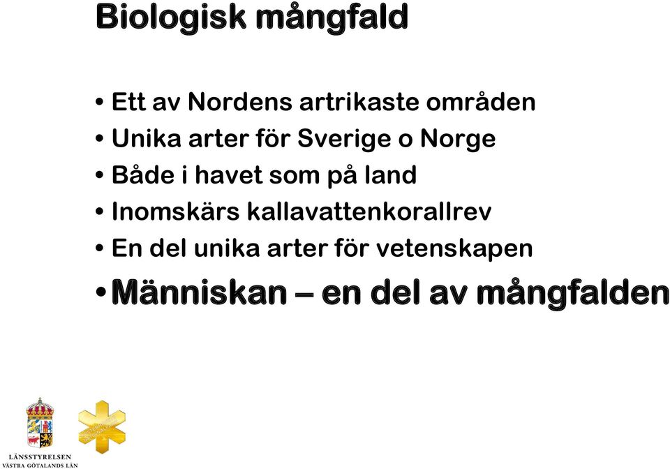 havet som på land Inomskärs kallavattenkorallrev En