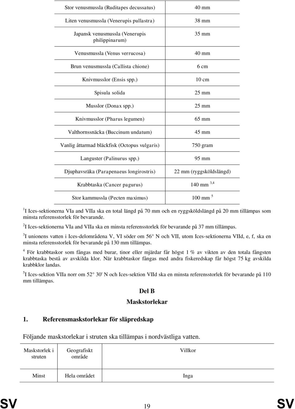 ) Djuphavsräka (Parapenaeus longirostris) 40 mm 38 mm 35 mm 40 mm 6 cm 10 cm 25 mm 25 mm 65 mm 45 mm 750 gram 95 mm 22 mm (ryggsköldslängd) Krabbtaska (Cancer pagurus) 140 mm 3,4 Stor kammussla