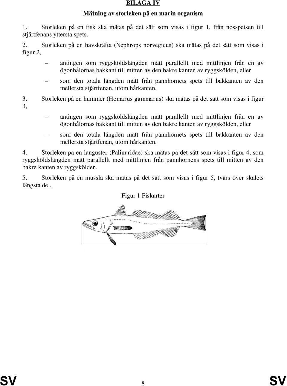 av den bakre kanten av ryggskölden, eller som den totala längden mätt från pannhornets spets till bakkanten av den mellersta stjärtfenan, utom hårkanten. 3.