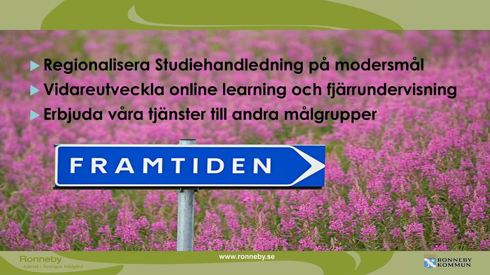 learning och fjärrundervisning