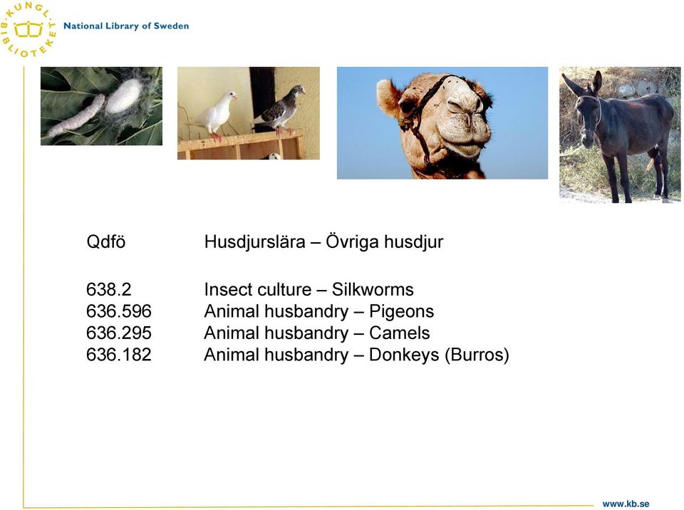 596 Animal husbandry Pigeons 636.