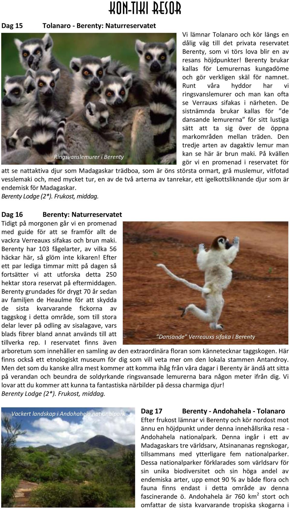 De sistnämnda brukar kallas för de dansande lemurerna för sitt lustiga sätt att ta sig över de öppna markområden mellan träden.