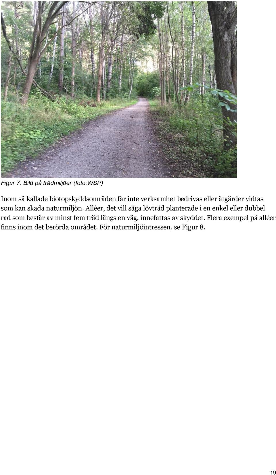 eller åtgärder vidtas som kan skada naturmiljön.