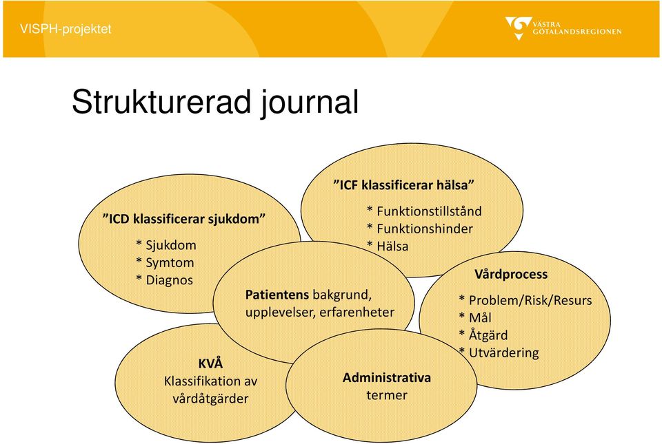 erfarenheter ICF klassificerar hälsa * Funktionstillstånd * Funktionshinder *