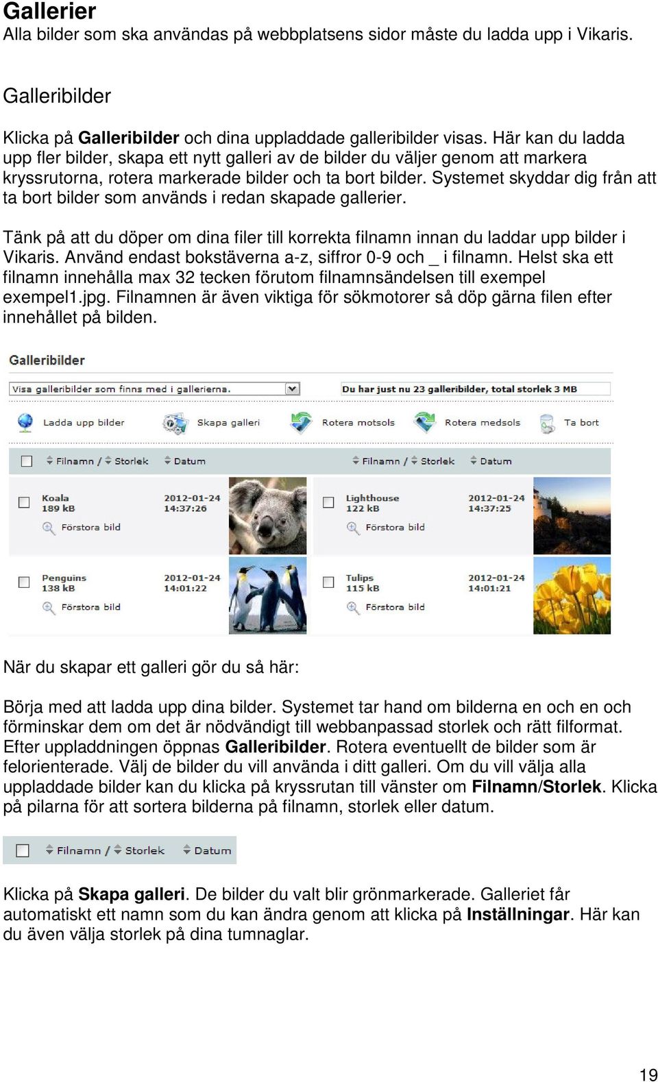 Systemet skyddar dig från att ta bort bilder som används i redan skapade gallerier. Tänk på att du döper om dina filer till korrekta filnamn innan du laddar upp bilder i Vikaris.