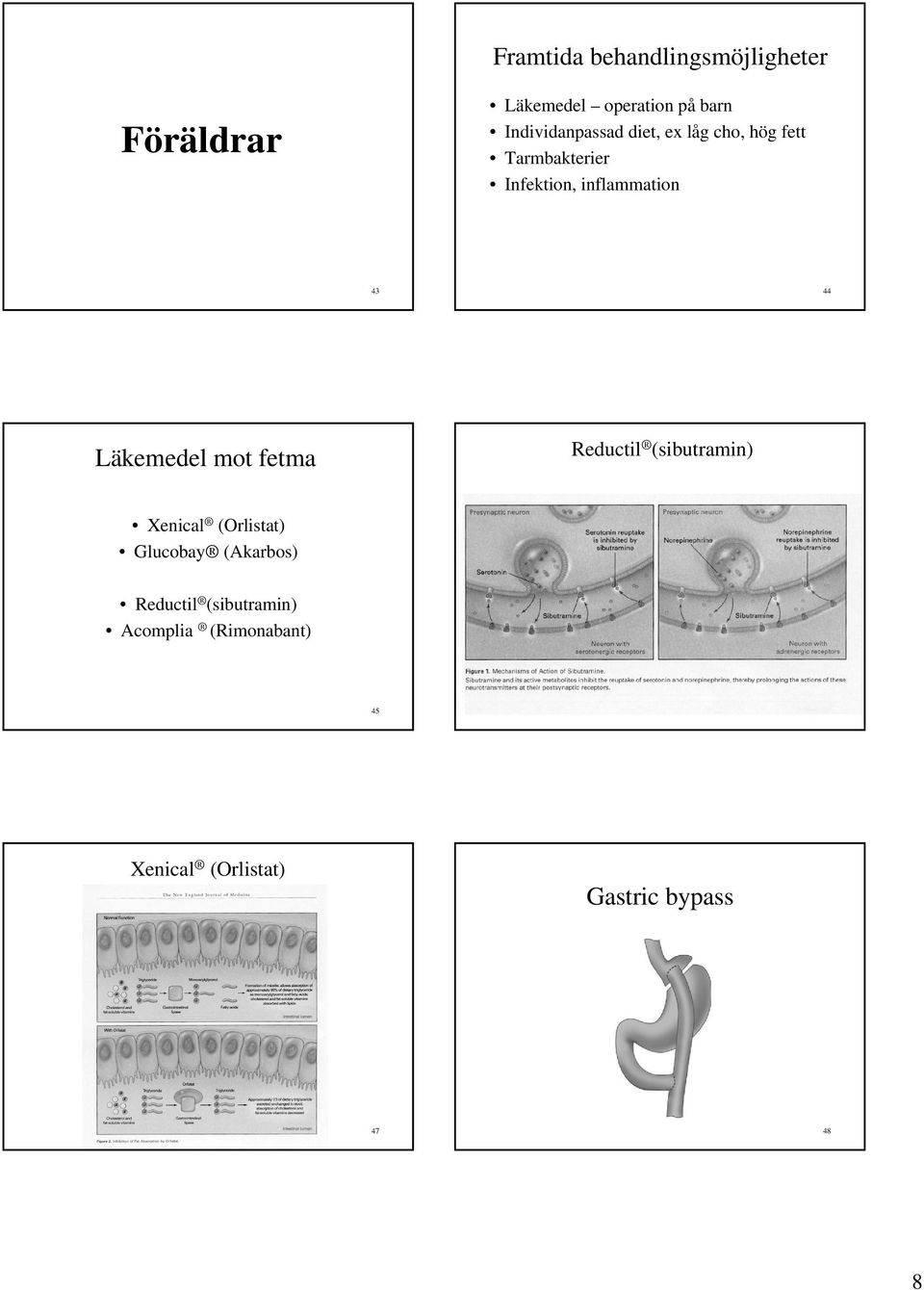 43 44 Reductil (sibutramin) Läkemedel mot fetma Xenical (Orlistat) Glucobay