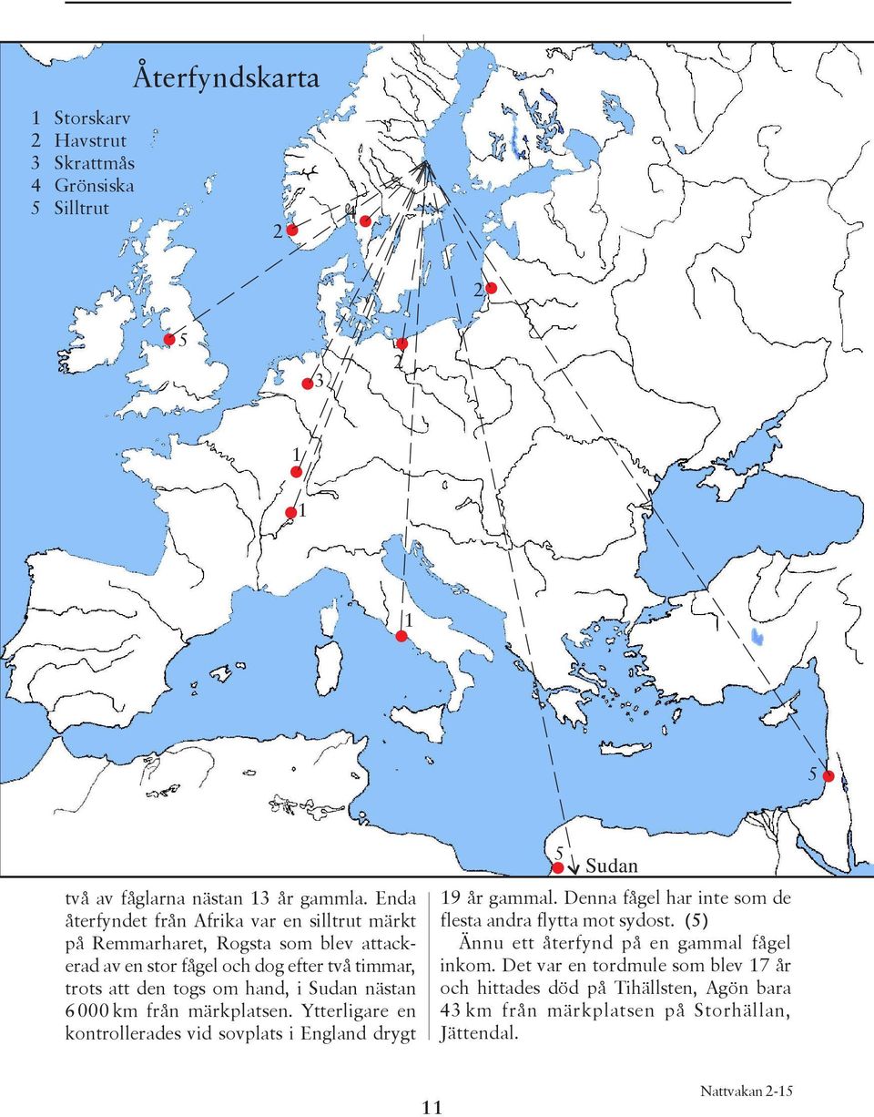 För att det inte ska drabbas av konkurrensen så har de fåglarna specialiserat sig på att söka mat i olika delar av trädkronan, det vill säga att de söker föda i olika ekologiska nischer.