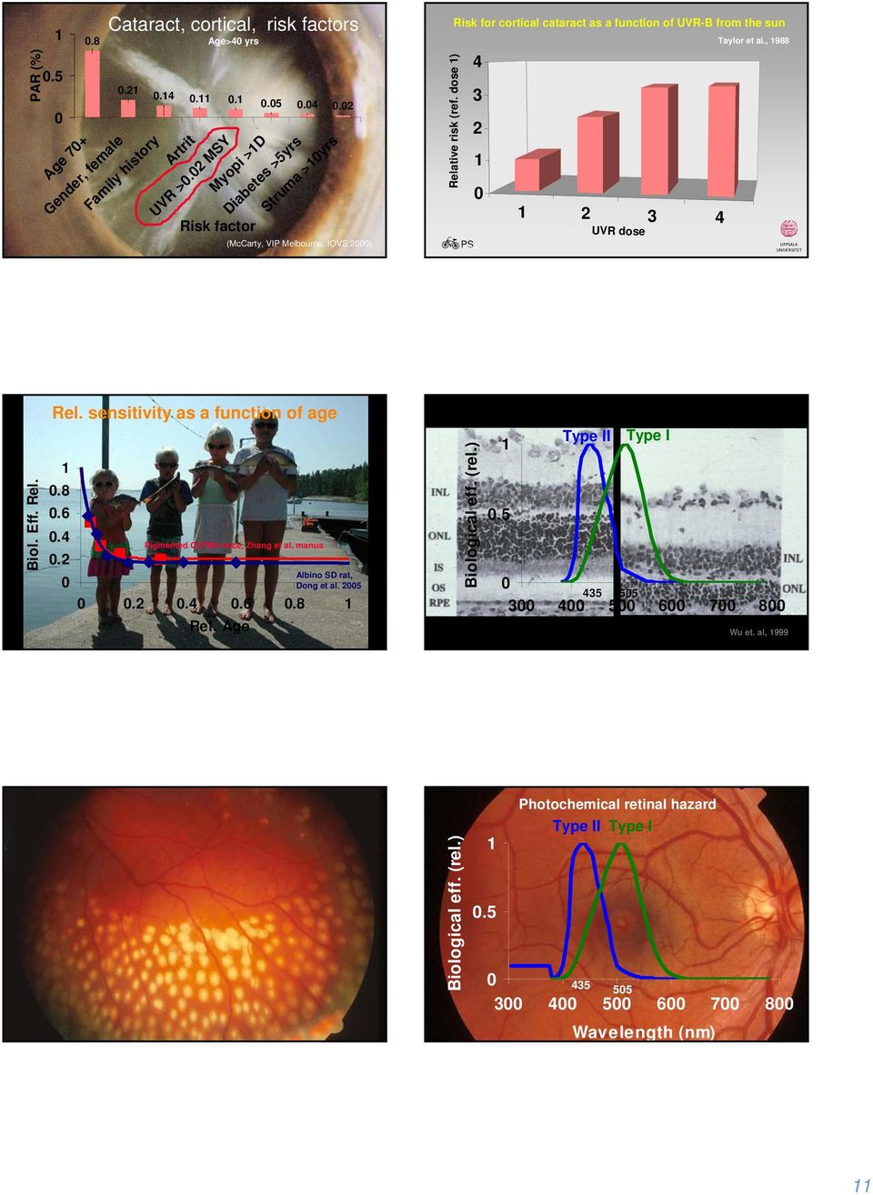 dose ) 4 3 2 Figure 2 3 4 UVR dose UPALA Biol. Eff. Rel. Rel. sensitivity as a function of age.8.6.4.2 Pigmented C57Bl6 mice, Zhang et al, manus Albino SD rat, Dong et al. 25.2.4.6.8 Rel.