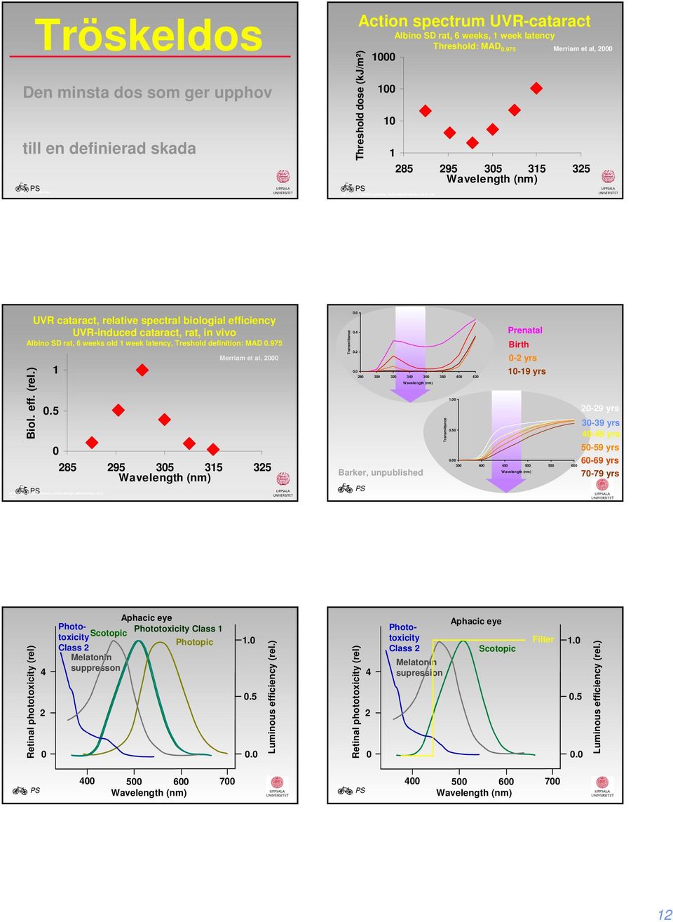 975 Merriam et al, 2 285 295 35 35 325 UPALA UVR cataract, relative spectral biologial efficiency UVR-induced cataract, rat, in vivo Albino SD rat, 6 weeks old week latency, Treshold definition: MAD.