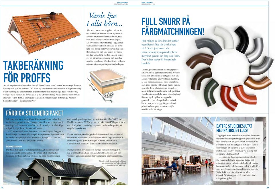 Du får ut ett underlag på alla artiklar som du kan skriva ut i PDF-format eller spara. Taksäkerhetsberäknaren hittar du på Moniers hemsida under Takberäknare Pro.