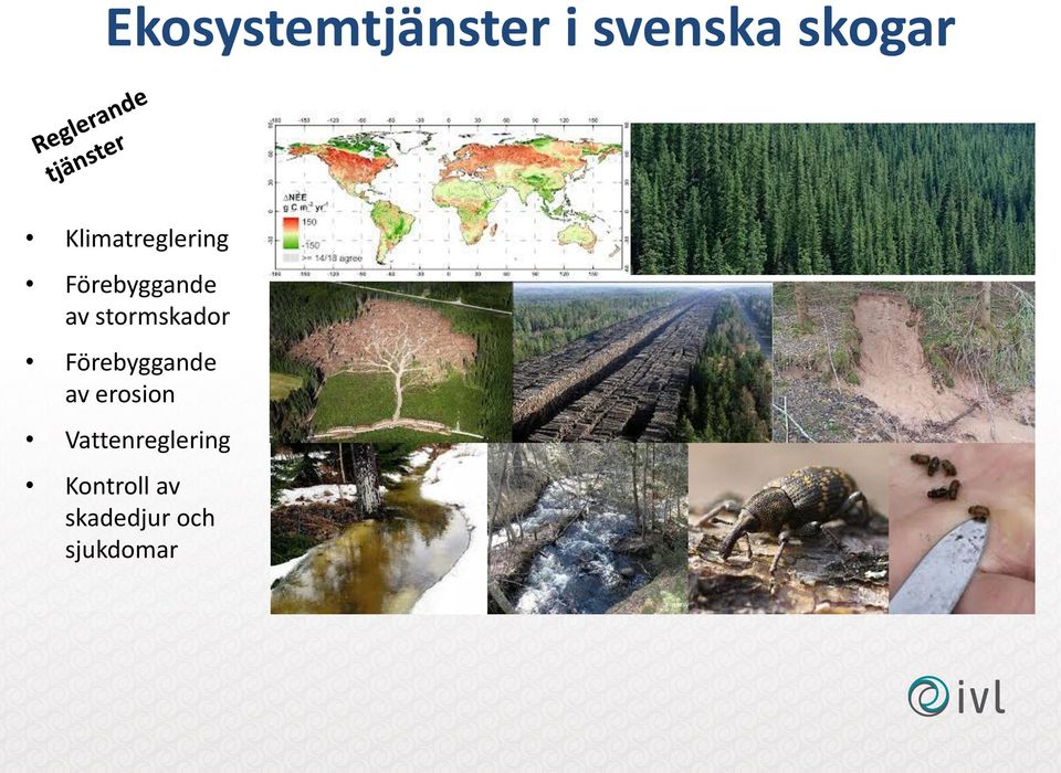 stormskador Förebyggande av erosion