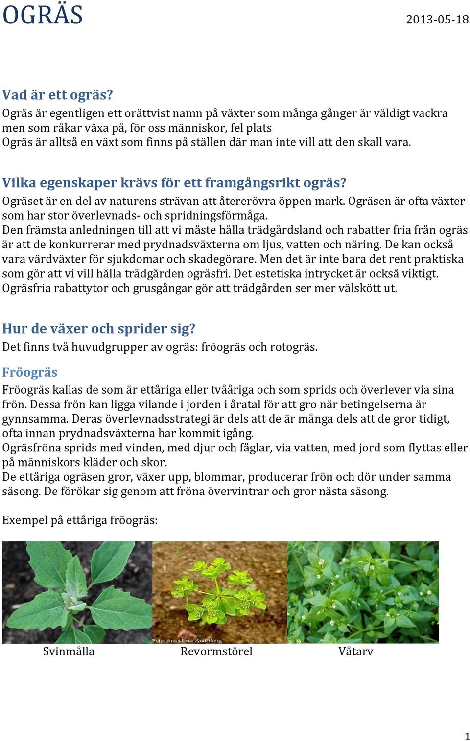 att den skall vara. Vilka egenskaper krävs för ett framgångsrikt ogräs? Ogräset är en del av naturens strävan att återerövra öppen mark.