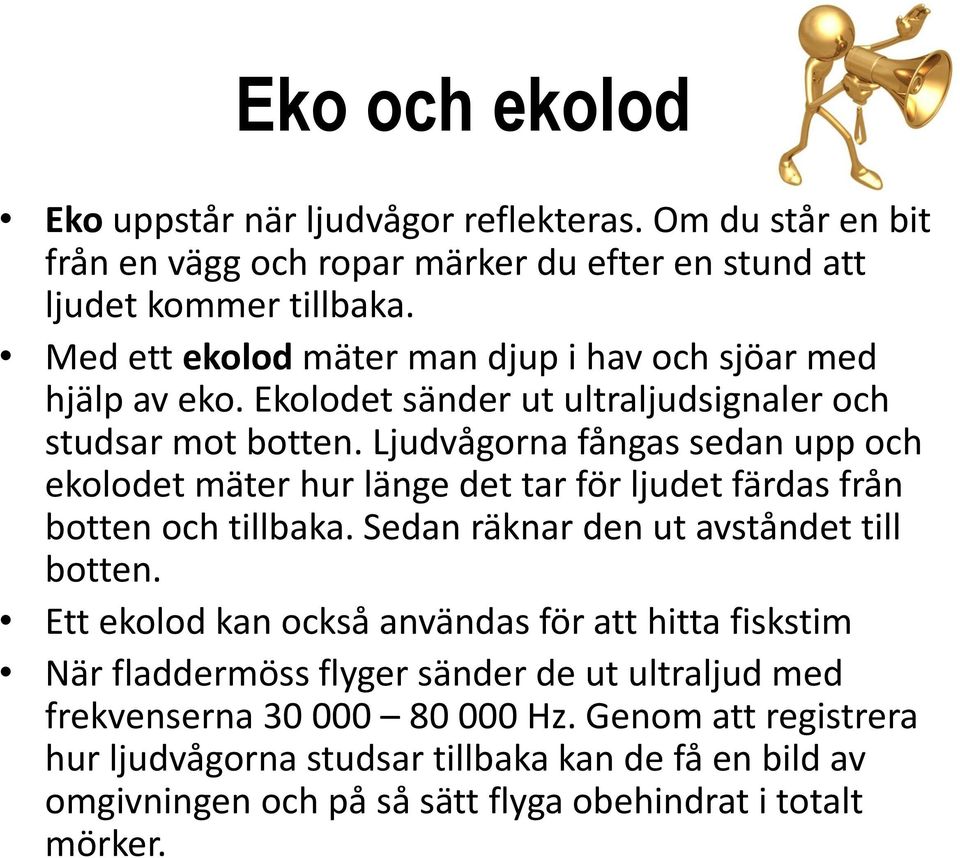 Ljudvågorna fångas sedan upp och ekolodet mäter hur länge det tar för ljudet färdas från botten och tillbaka. Sedan räknar den ut avståndet till botten.