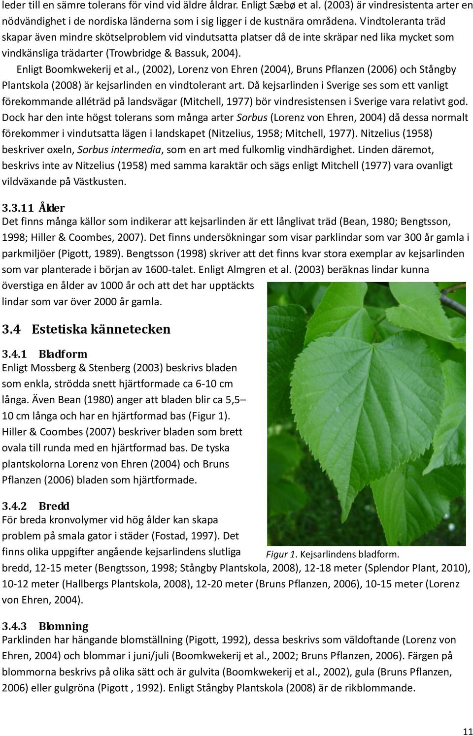 , (2002), Lorenz von Ehren (2004), Bruns Pflanzen (2006) och Stångby Plantskola (2008) är kejsarlinden en vindtolerant art.
