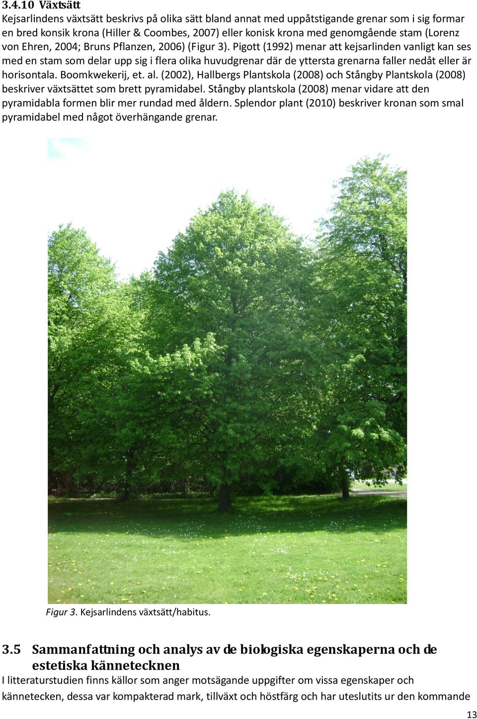 Pigott (1992) menar att kejsarlinden vanligt kan ses med en stam som delar upp sig i flera olika huvudgrenar där de yttersta grenarna faller nedåt eller är horisontala. Boomkwekerij, et. al.