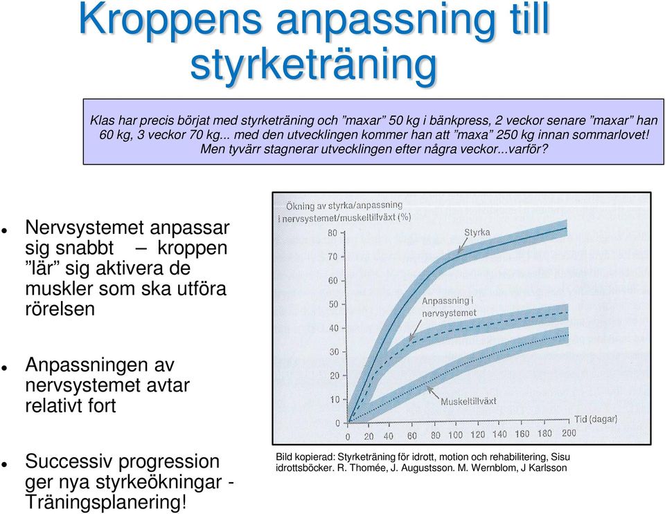 Nervsystemet anpassar sig snabbt kroppen lär sig aktivera de muskler som ska utföra rörelsen Anpassningen av nervsystemet avtar relativt fort Successiv