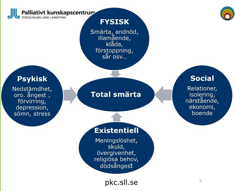 ångest, förvirring, depression, sömn, stress Total smärta Existentiell