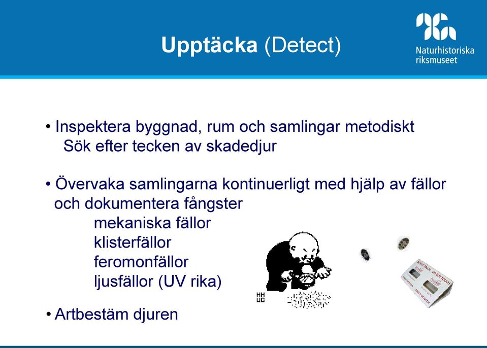 kontinuerligt med hjälp av fällor och dokumentera fångster