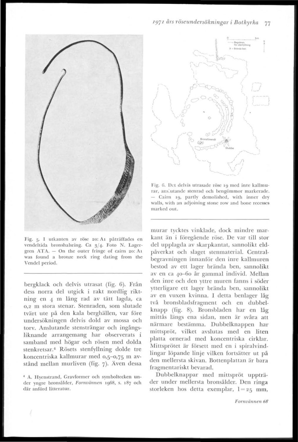 Foto N. Lagergren ATA. On the outer fringe ot cairn 20: Ai was found a bronze neck ring dating from the Vendel period. bergklack och delvis utrasat (fig. 6).