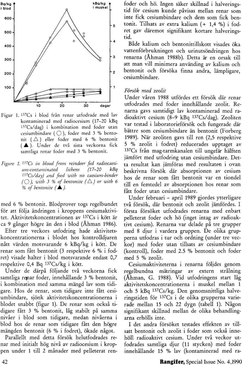 De renar som fått bentonit (3 respektive 6 % i fodret) visade halter i blod motsvarande endast 0,7 respektive 0,4 Bq Cs/kg i kott.