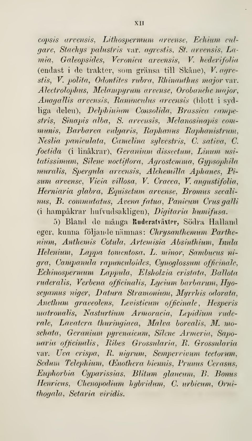 AlectroJoplius, Melanipgrtim arvense, Orohanche major, Änagallis arvensis, Raminciihis arvensis (blott i sydliga delen), Dclphinium Consolida, Brassica, campestris, Sinapis ajha, S.