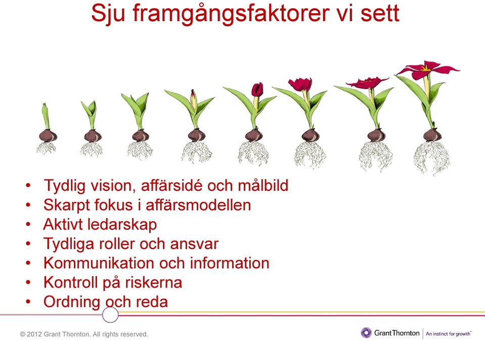 Aktivt ledarskap Tydliga roller och ansvar