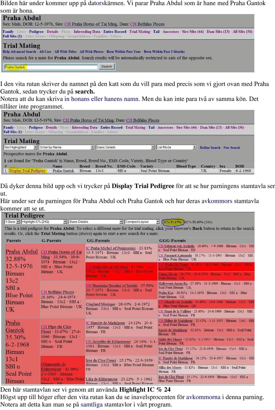 Men du kan inte para två av samma kön. Det tillåter inte programmet. Då dyker denna bild upp och vi trycker på Display Trial Pedigree för att se hur parningens stamtavla ser ut.