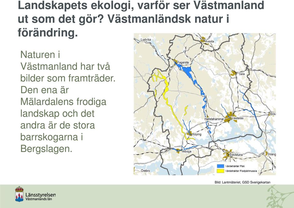 Naturen i Västmanland har två bilder som framträder.